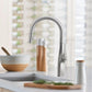 BLANCO Rivana High-Arc Pull-Down Dual-Spray Kitchen Faucet