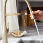 BLANCO Rivana Semi-Pro Pull-Down Dual-Spray Kitchen Faucet