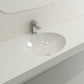 Close-up view of BOCCHI PARMA 22" Undermount Sink Fireclay With Overflow in classic oval design on a modern countertop.